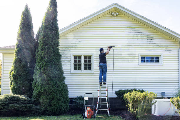 Best Pressure Washing Driveway  in St Joseph, MI