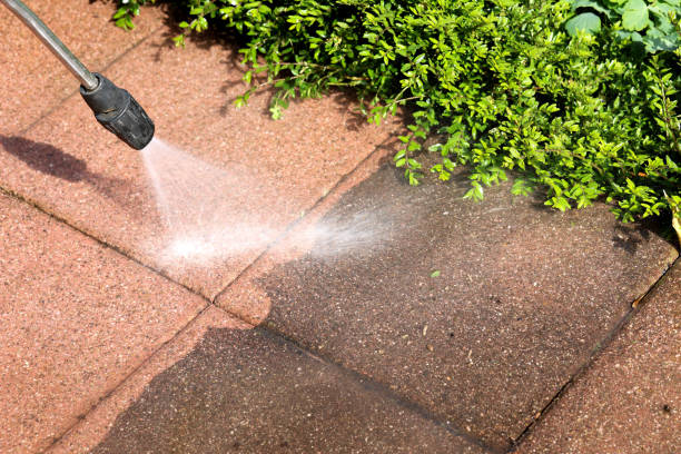 Best Pressure Washing Near Me  in St Joseph, MI